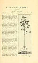 Cover of A primer of forestry