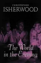 Cover of The world in the evening
