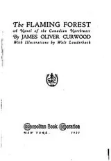 Cover of The Flamingo Forest