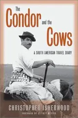 Cover of The Condor and the Cows
