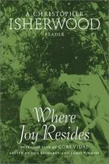 Cover of Where joy resides