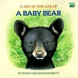 Cover of A day in the life of a baby bear
