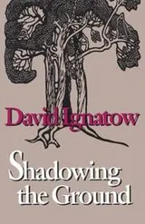 Cover of Shadowing the ground