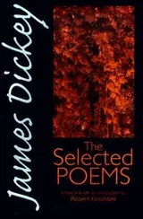 Cover of James Dickey