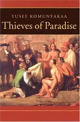 Cover of Thieves of paradise