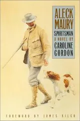 Cover of Aleck Maury, sportsman