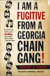 Cover of I Am a Fugitive from a Georgia Chain Gang!