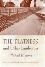 Cover of The flatness and other landscapes