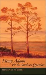 Cover of Henry Adams and the southern question