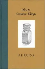 Cover of Odes to common things