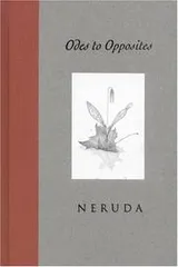 Cover of Odes to opposites