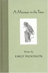 Cover of A murmur in the trees