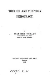 Cover of Toryism and the Tory democracy
