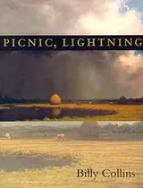 Cover of Picnic, lightning