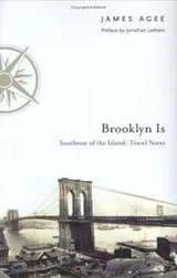 Cover of Brooklyn is