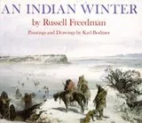 Cover of An Indian Winter