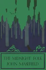 Cover of The midnight folk
