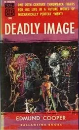 Cover of Deadly Image