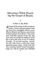 Cover of Adventures while preaching the gospel of beauty