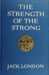 Cover of The Strength of the Strong