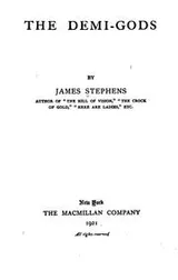 Cover of The demi-gods
