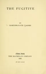 Cover of The Fugitive