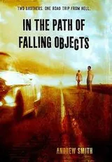 Cover of In the path of falling objects