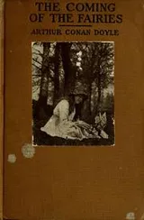 Cover of The Coming of the Fairies