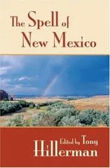 Cover of The Spell of New Mexico