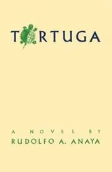 Cover of Tortuga