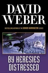Cover of By heresies distressed