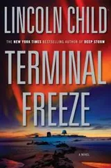 Cover of Terminal freeze