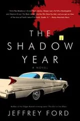 Cover of The Shadow Year