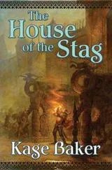 Cover of House of the Stag