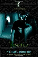 Cover of Tempted