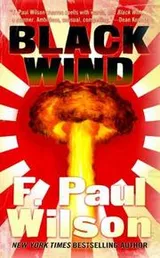 Cover of Black wind