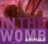 Cover of In the womb