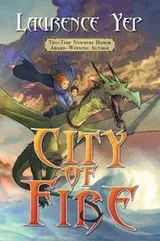Cover of City of fire