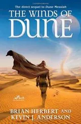 Cover of The winds of dune