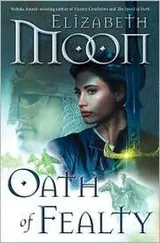 Cover of Oath of Fealty  (Paladin's Legacy #1)