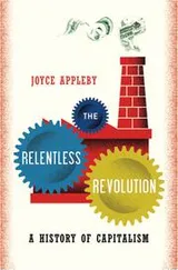 Cover of The relentless revolution