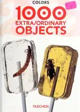 Cover of 1000 extra, ordinary objects