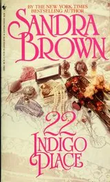 Cover of 22 Indigo Place