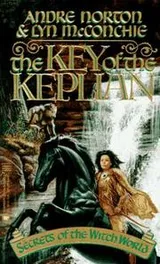 Cover of The Key of the Keplian