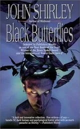 Cover of Black Butterflies