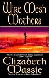 Cover of Wire mesh mothers
