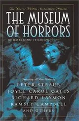 Cover of The Horror Writers Association presents the museum of horrors