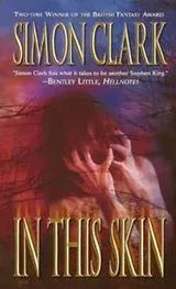 Cover of In this skin
