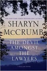 Cover of The devil amongst the lawyers