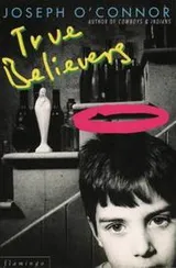 Cover of True believers